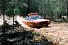 F1100003.JPG