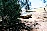 F1100017.JPG