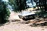 F1100019.JPG