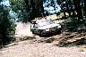 F1100024.JPG