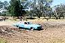 F1050013.JPG