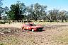 F1050020.JPG