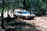 F1070007.JPG